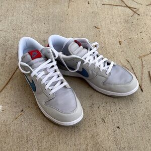 Nike Dunks Silver Surfers